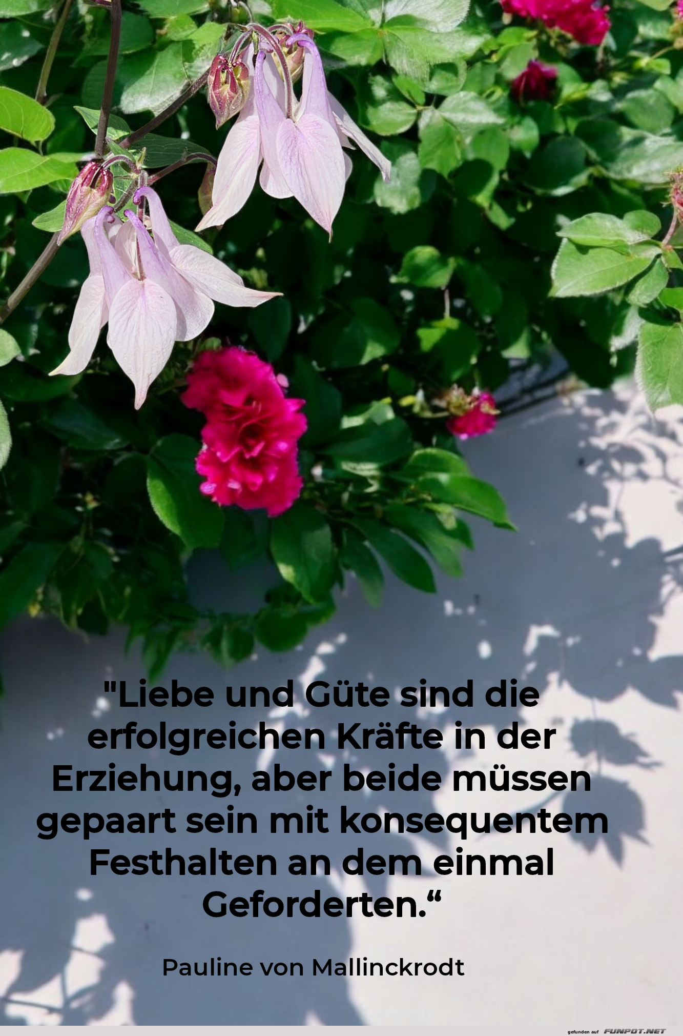 liebe und g�te
