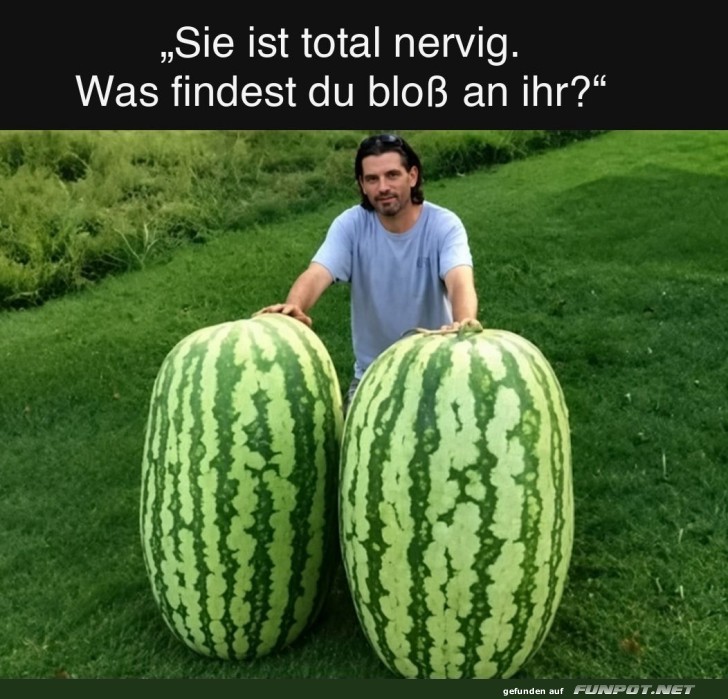 Melonen der Superlative!