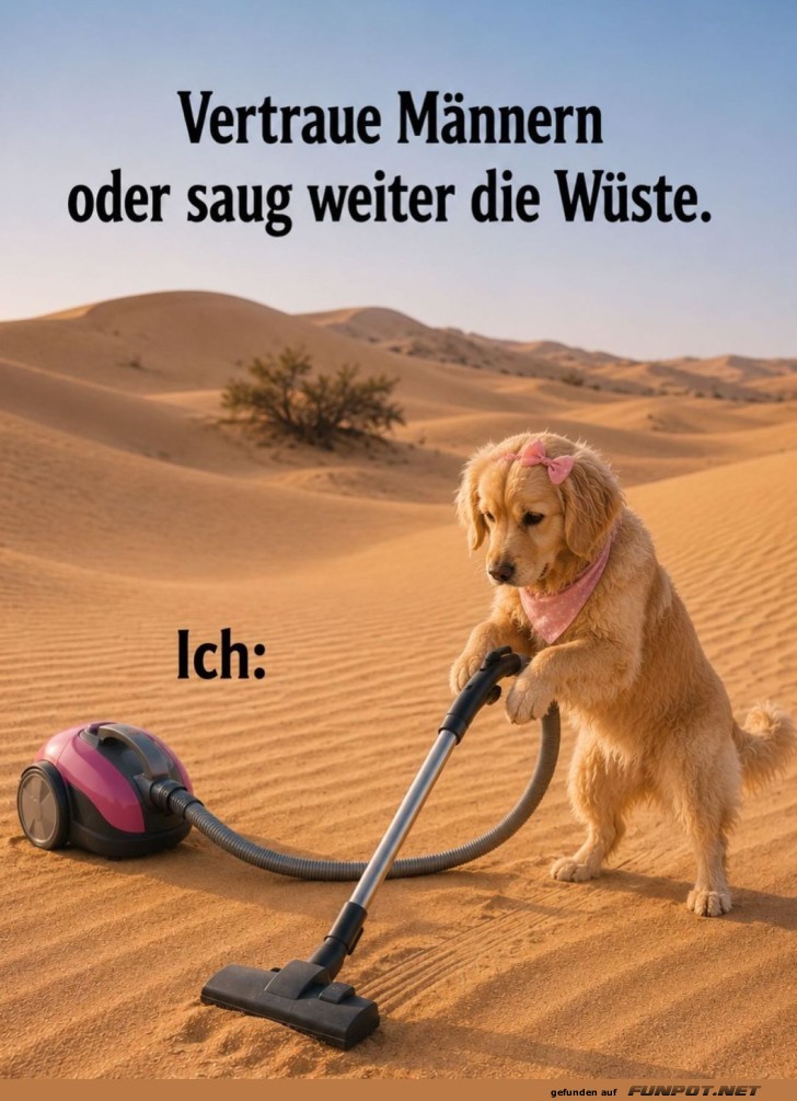W�stensauger im Einsatz!