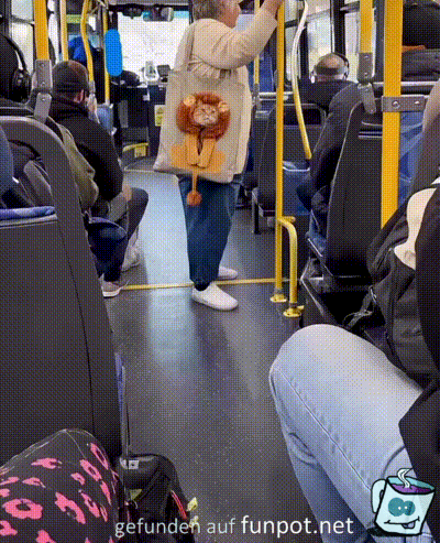 Katzentasche