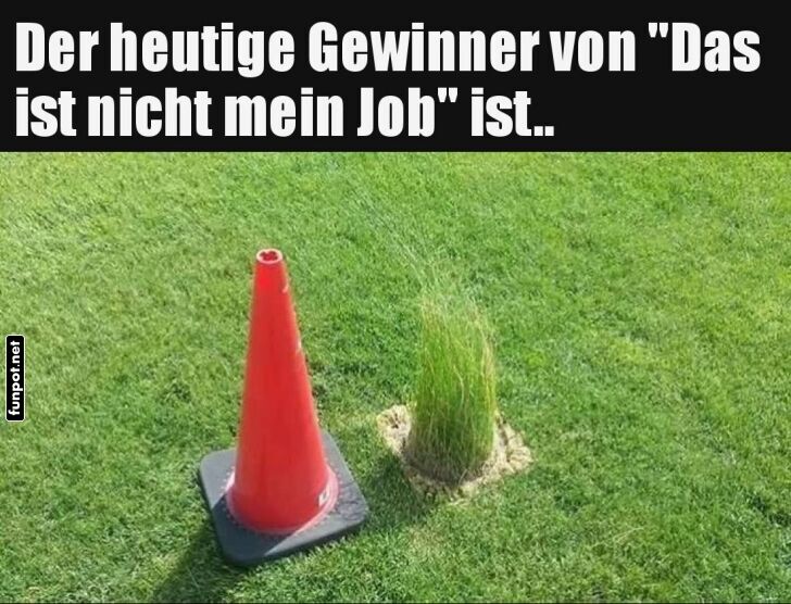 Unkrautexperte weist Verantwortung von sich! Unkrautexperte weist Verantwortung von sich!