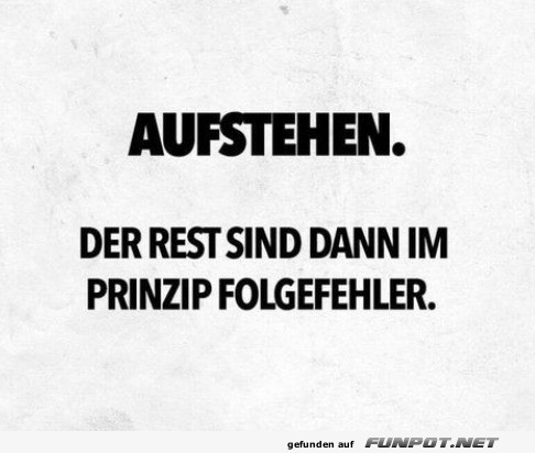 Morgenroutine: Der Ursprung aller Katastrophen!