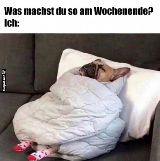 Wochenendpl�ne im Burrito-Style