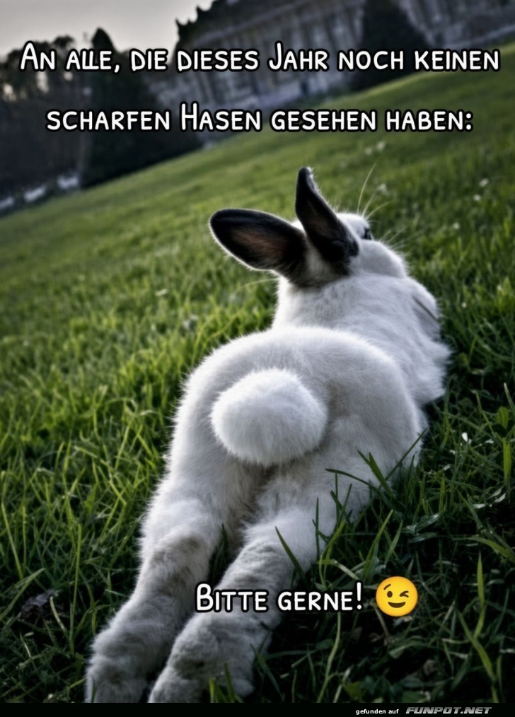 Ein scharfer Hase f�r alle!