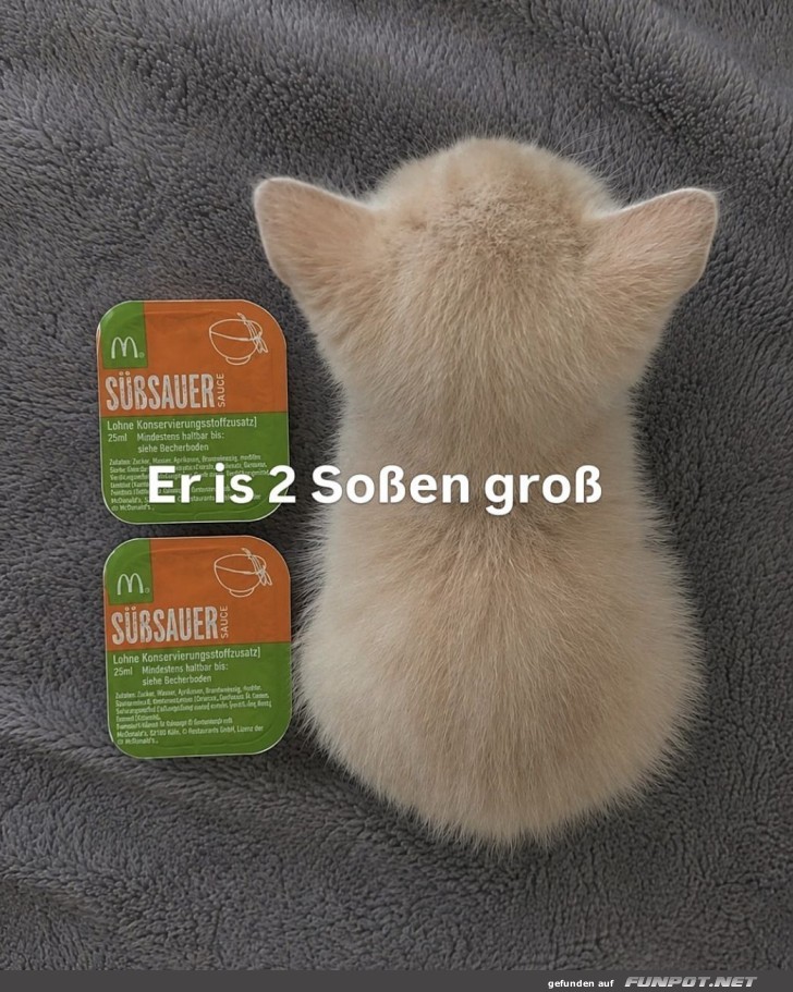 Kitten-Ma�stab: Zwei So�enpackungen
