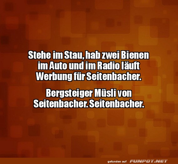 Stau, Bienen und Seitenbacher-Chaos