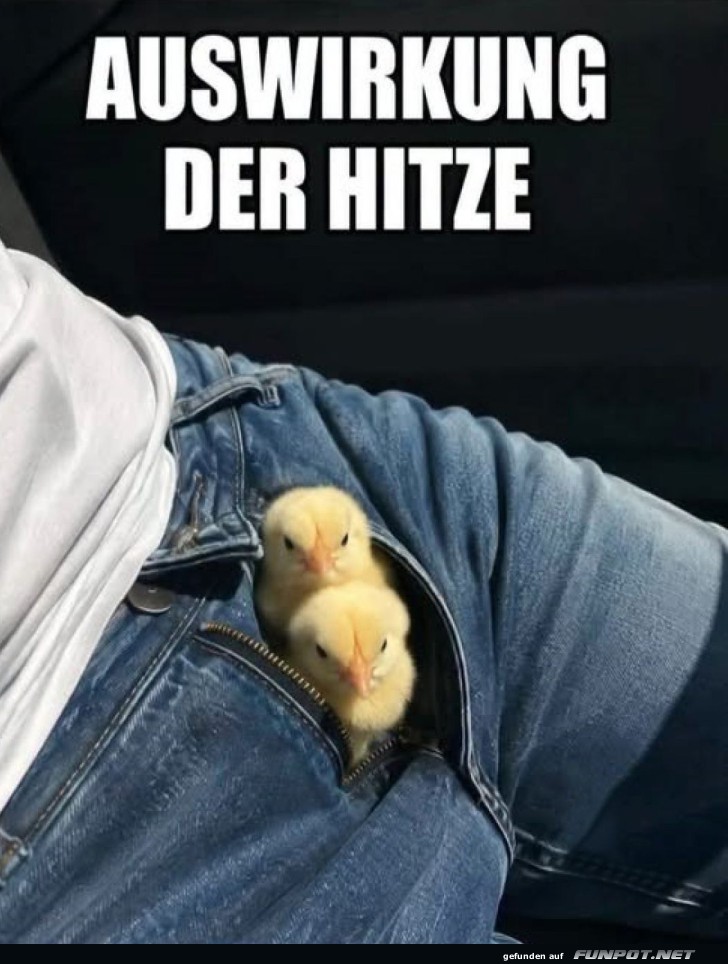 Pocket-Sized Hitzehelfer!