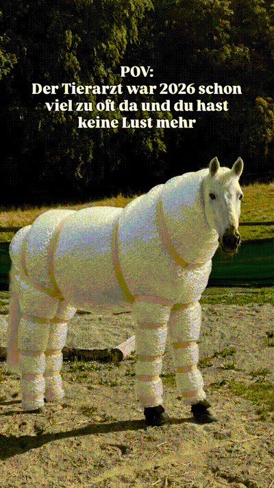 Tierarzt ist auf Dauer zu teuer