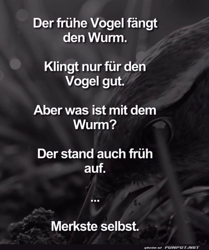 Der fr�he Vogel und der schlaue Wurm