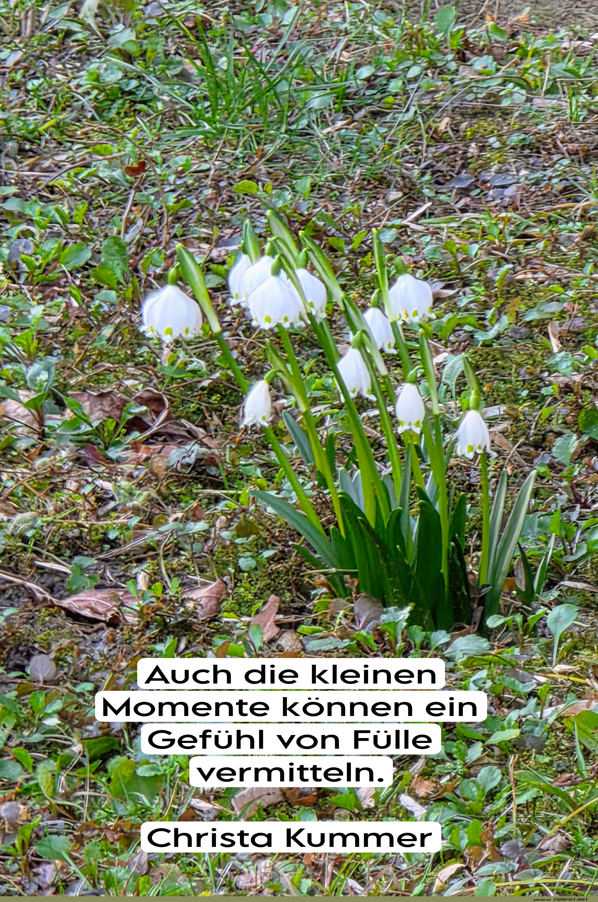 auch die kleinen momente