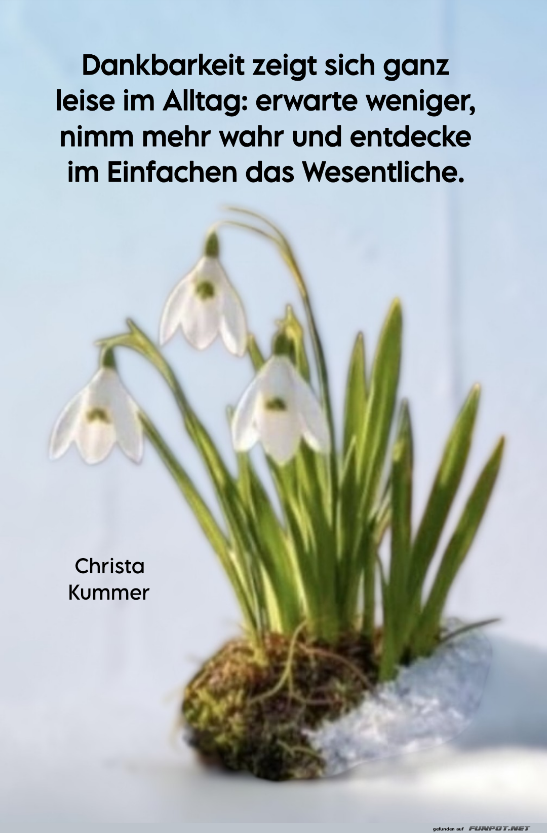 dankbarkeit zeigt sich