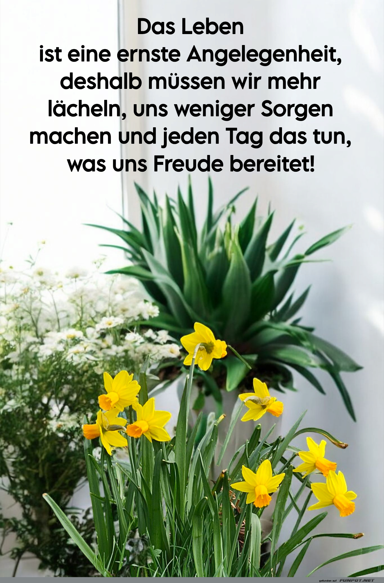 das leben ist eine ernste angelegenheit