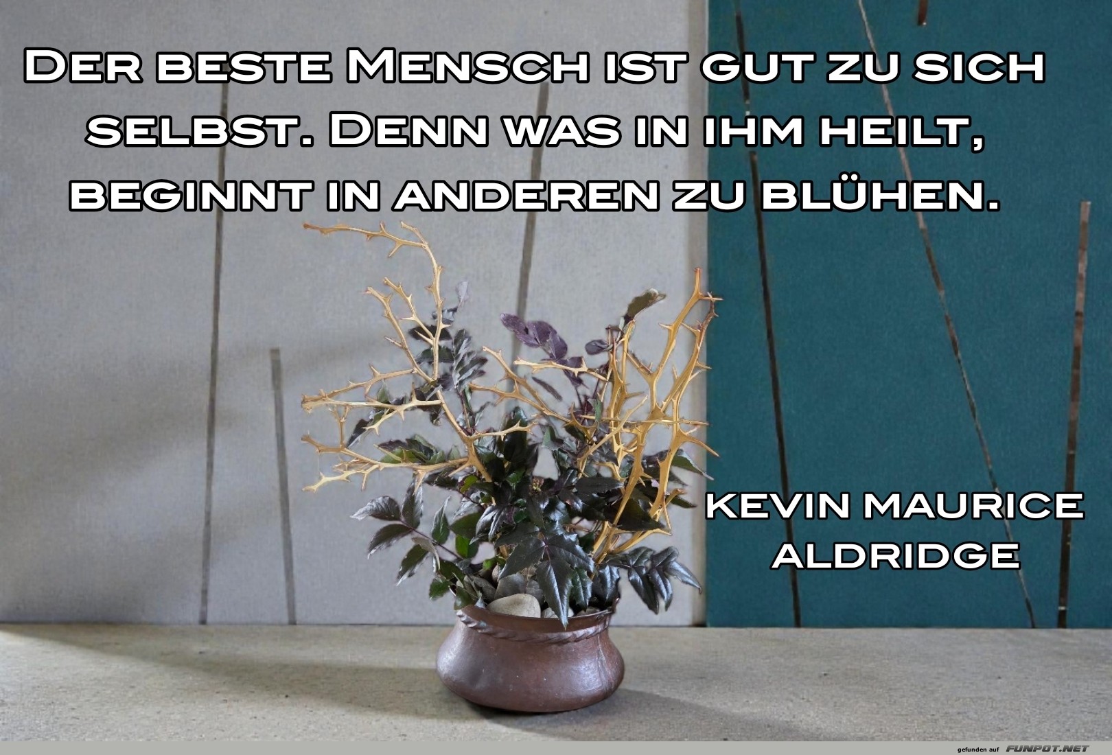 der beste mensch