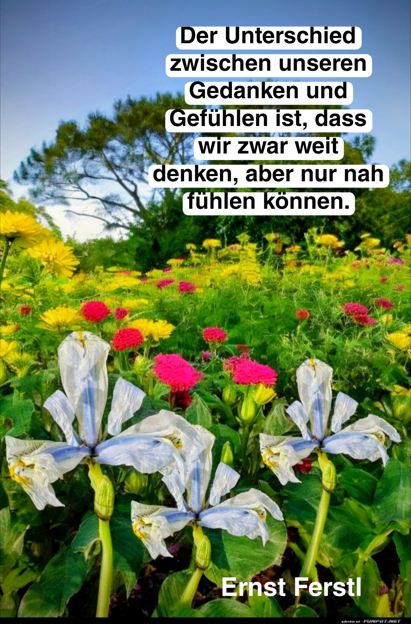 der unterschied zwischen