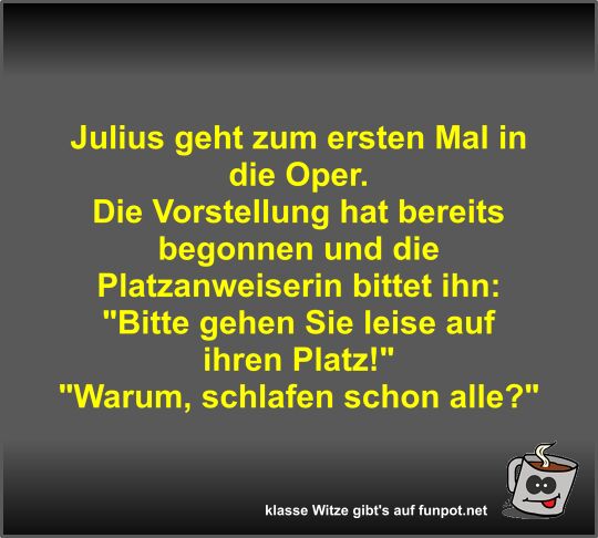 Julius geht zum ersten Mal in die Oper