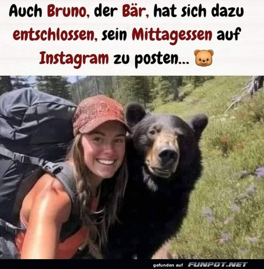 Bruno der B�r: Selfie-Held der Wildnis!