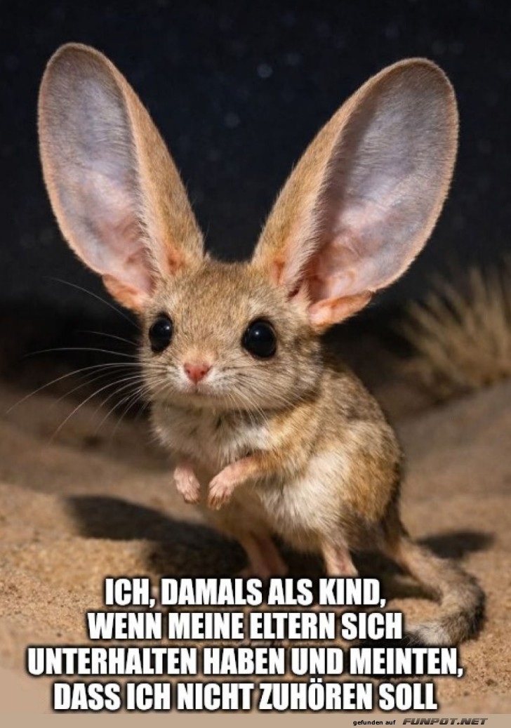 Gro�e Ohren, gro�e Geheimnisse!