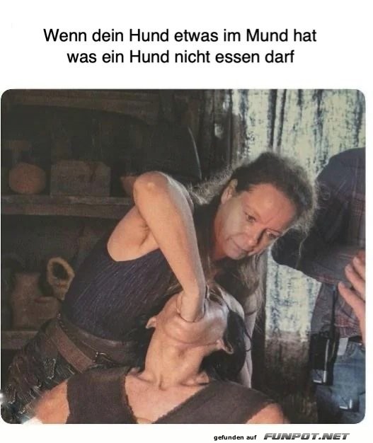 Wenn Hunde mehr als Knochen klauen