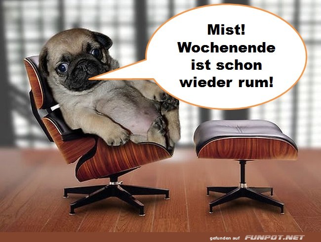 Mist! Wochenende ist schon wieder...