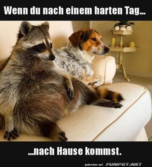 Nach einem harten Tag