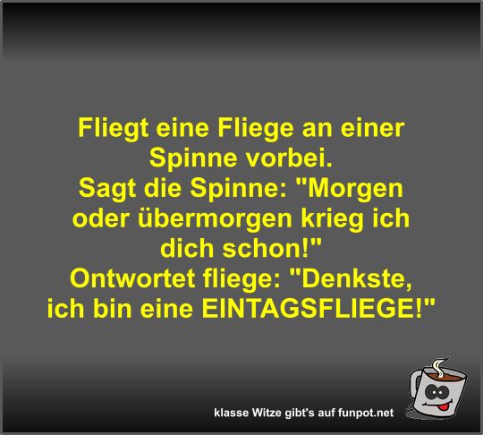 Fliegt eine Fliege an einer Spinne vorbei
