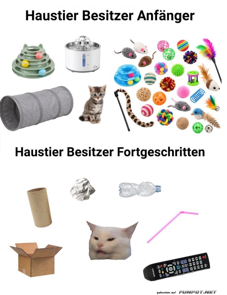 Vom Spielzeugdschungel zur Alltagskatastrophe