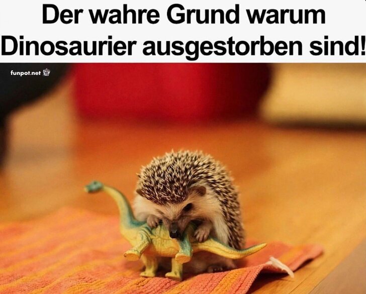 Warum Igel wirklich gefürchtet sind! Warum Igel wirklich gefürchtet sind!