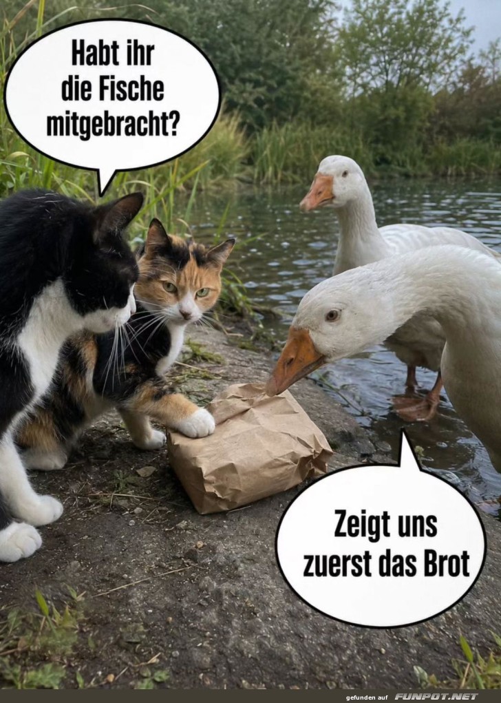 Geheime Verhandlungen am Teich