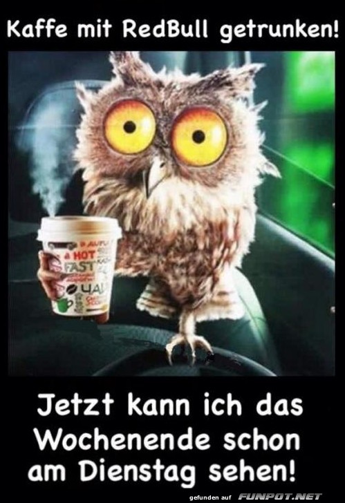 Kaffee mit Redbull...Dienstag