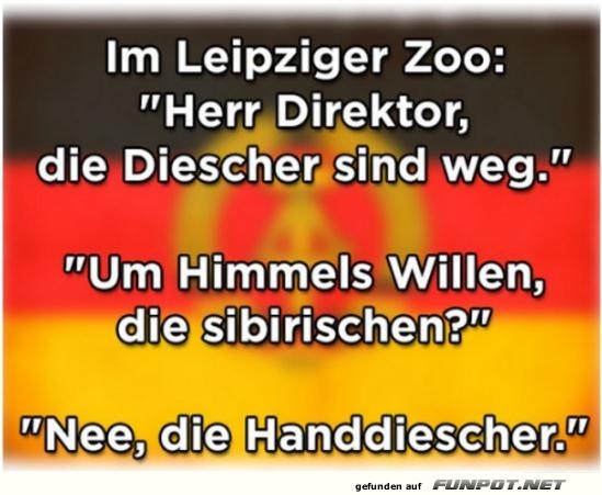 Verwirrung im Zoo: Handtuch-Alarm!