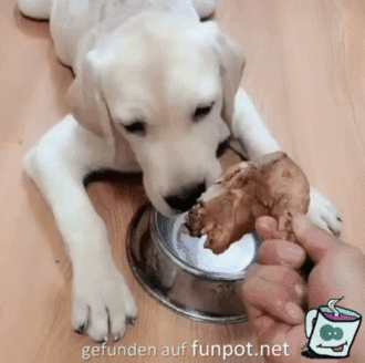 �rgere ihn nicht