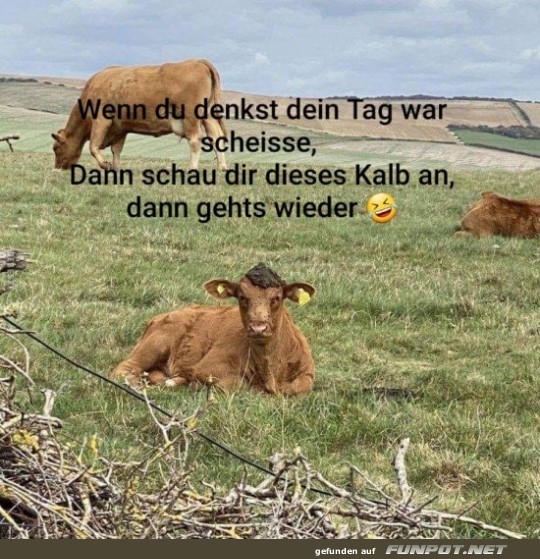 Wenn du denkst, dein Tag w�re bescheiden