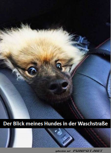 Wenn die Waschanlage pl�tzlich lebendig wird