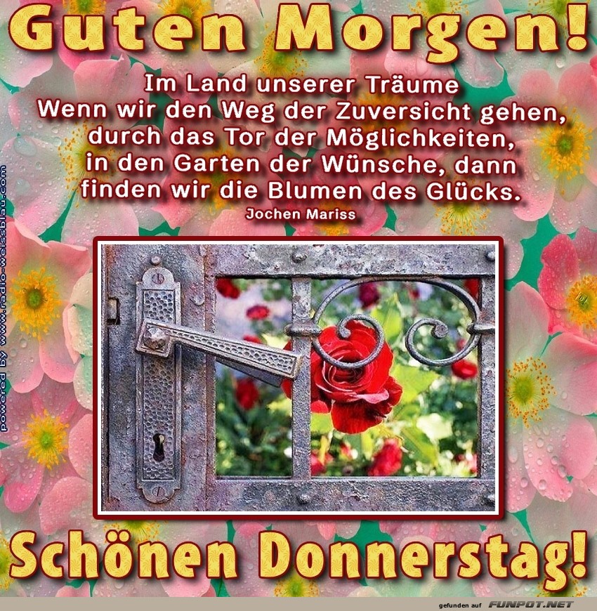Traumt�r zu einem bl�henden Donnerstag