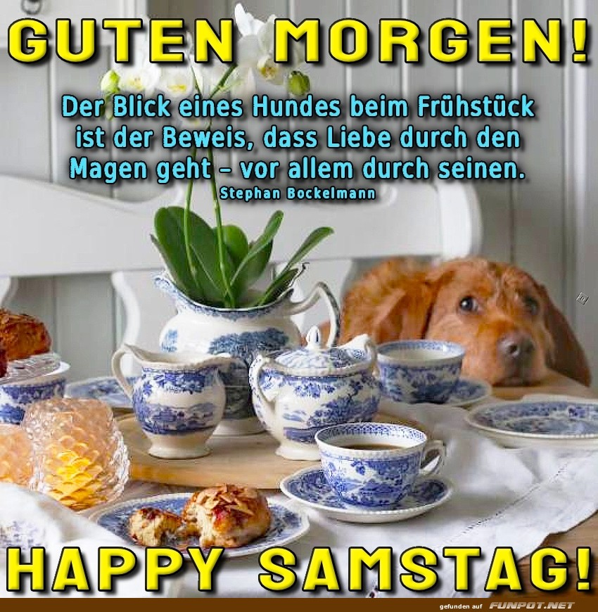 Frühstück mit Hundeblick