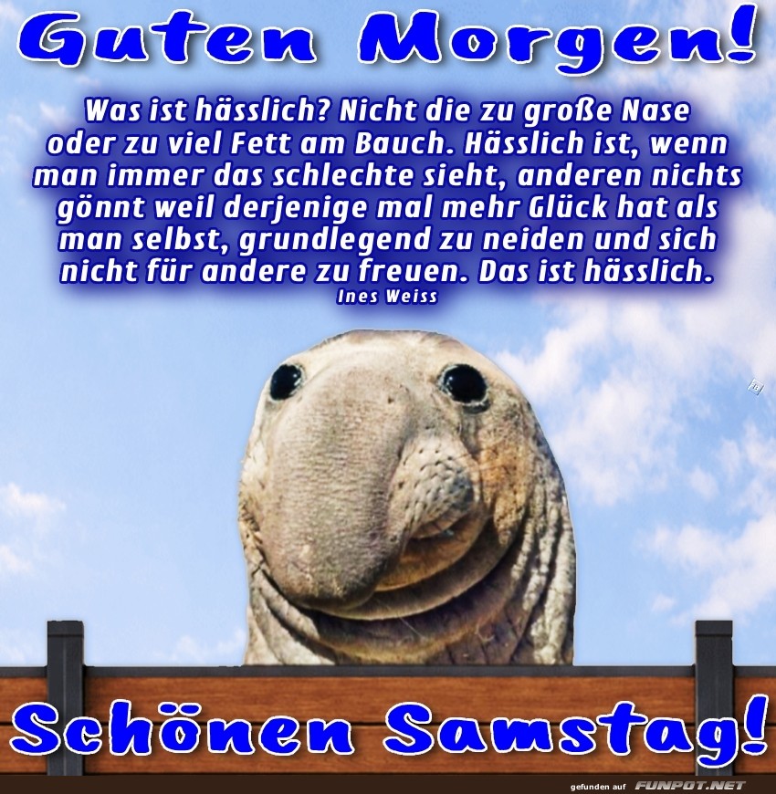Samstag