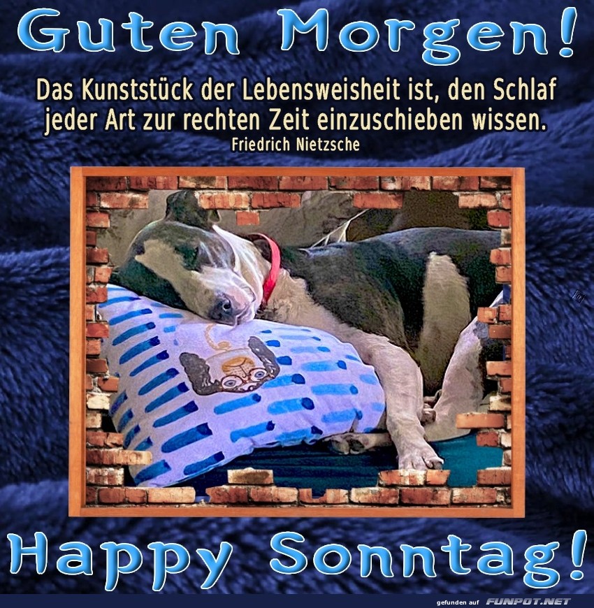 Sonntag