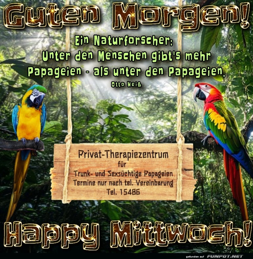 Papageienplauderei am Morgen