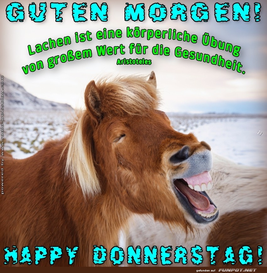 Morgenhumor vom Feinsten