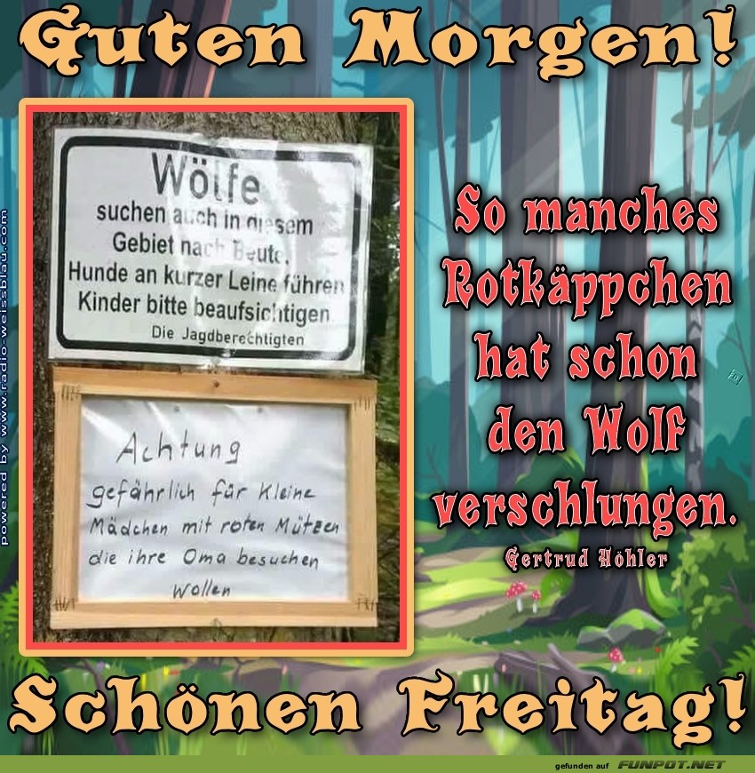 Vorsicht, hungrige Wölfe auf Abwegen!