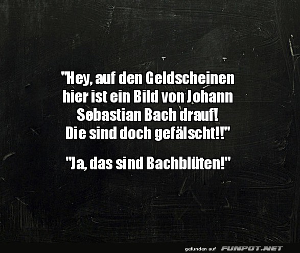 Bachbl�ten auf Geldscheinen