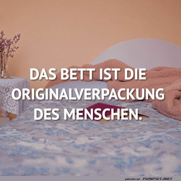 Verpackungskunst für Morgenmuffel