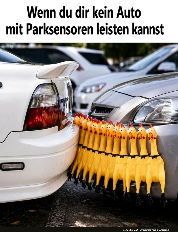 Gummih�hner als Parksensorersatz