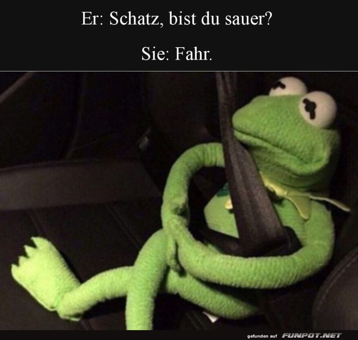 Wenn ein Blick mehr sagt als Worte