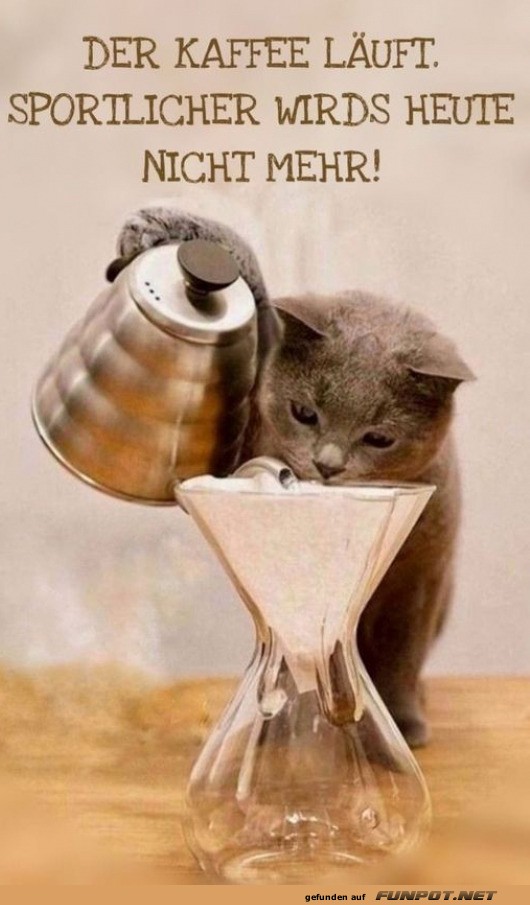 Katzen-Kaffeemaschine: Kaffeepause mit Humor!