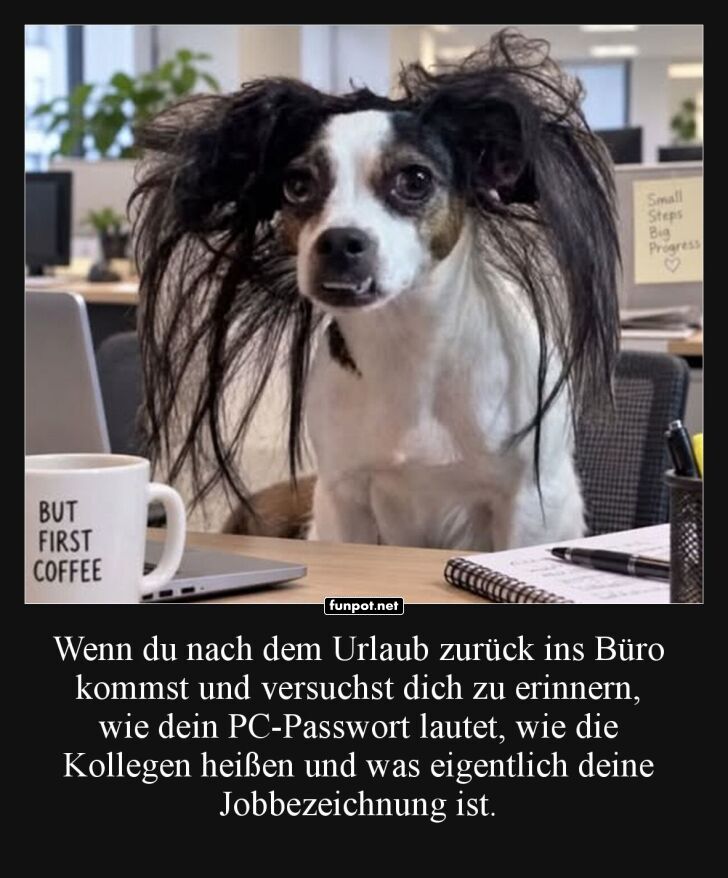 Der Bürohund, der Passwort-Amnesie hat Der Bürohund, der Passwort-Amnesie hat