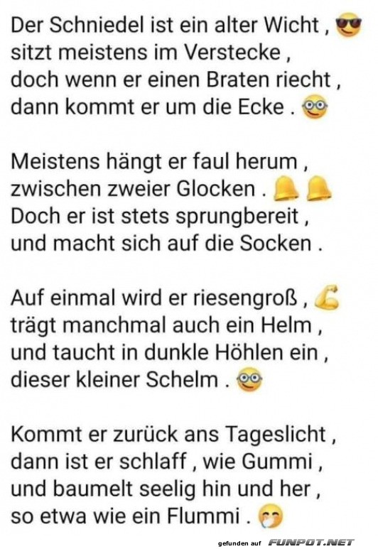 Der Schniedelwitz des Alltags