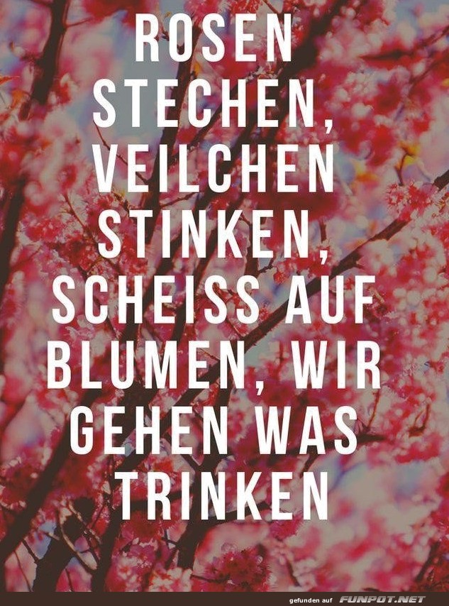 Warum Blumen kaufen, wenn man trinken kann?