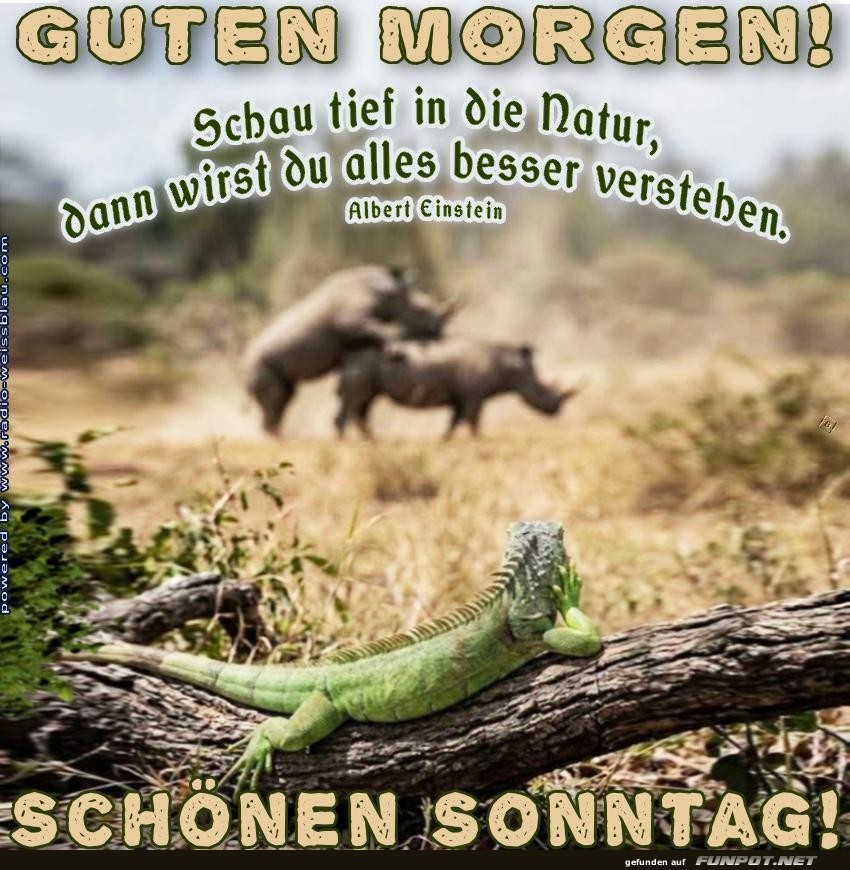 Ein entspannter Morgen mit tierischen Freunden!