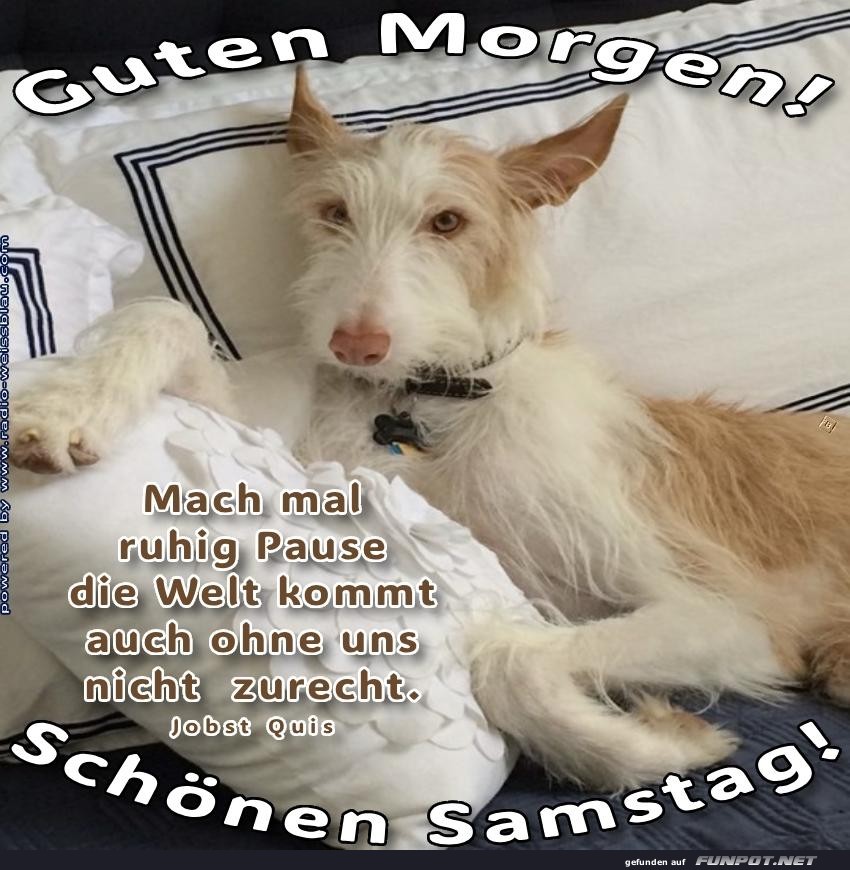 Samstag
